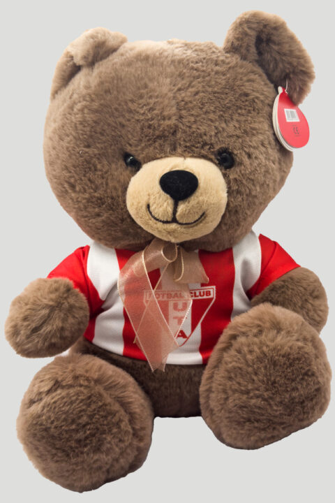 Mascotă ursuleț pluș personalizat UTA Arad – culoare maro, suvenir moale și adorabil